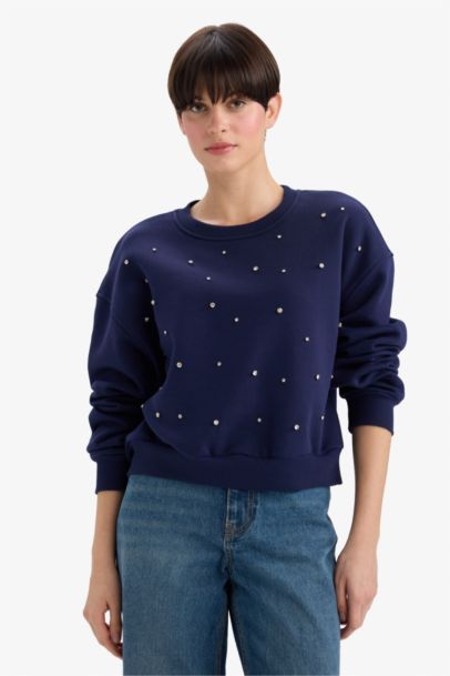 Boxy Fit Embroidered Long Sleeve Sweatshirt