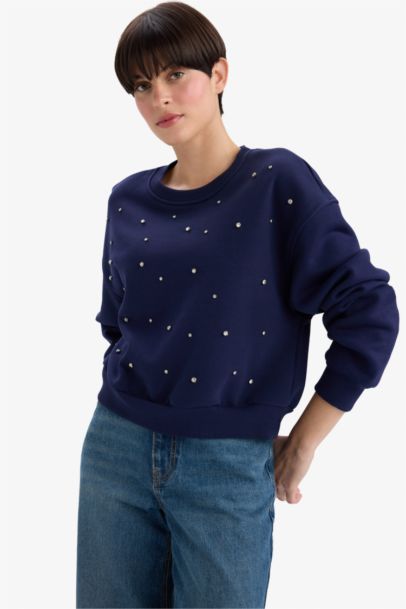 Boxy Fit Embroidered Long Sleeve Sweatshirt