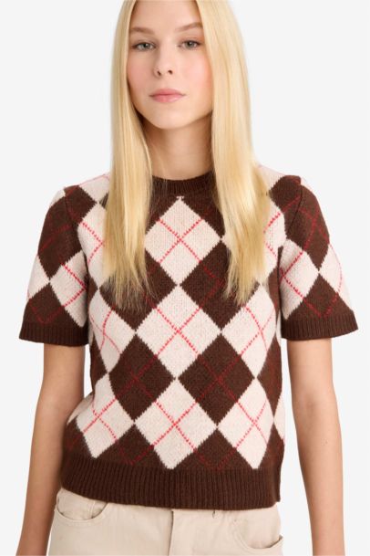 Slim Fit Crew Neck Argyle Patterned Knit Pullover