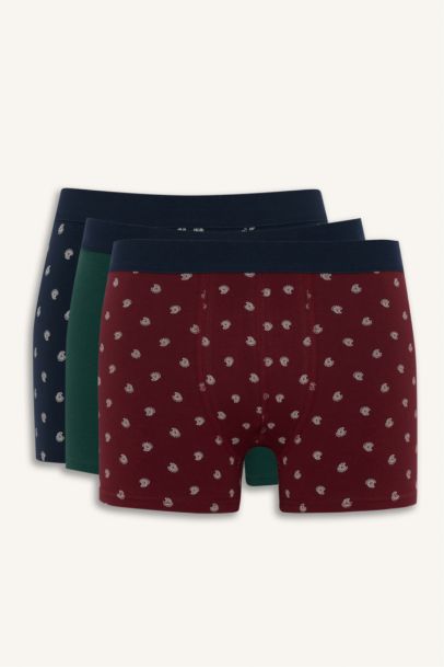 Regular Fit Paisley Patterned 3 Piece Boxers