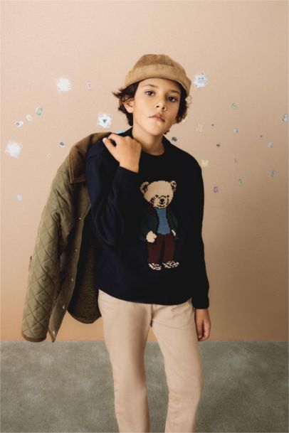 Boy Crew Neck Teddy Bear Printed Knit Pullover