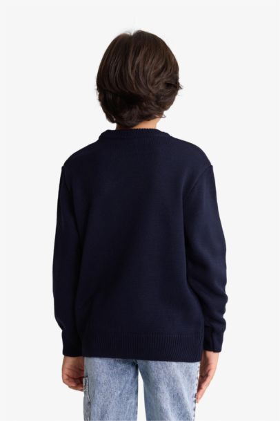 Boy Crew Neck Teddy Bear Printed Knit Pullover