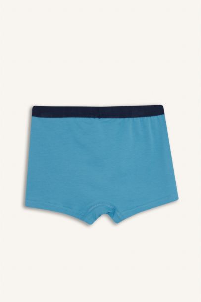 Boy Printed 3 Piece Boxers