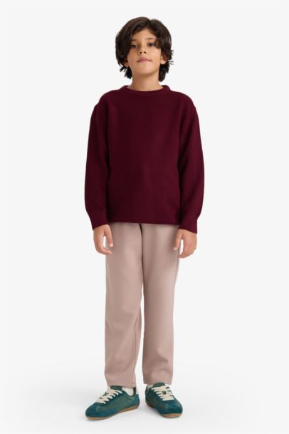 Boy Regular Fit Crew Neck Pullover