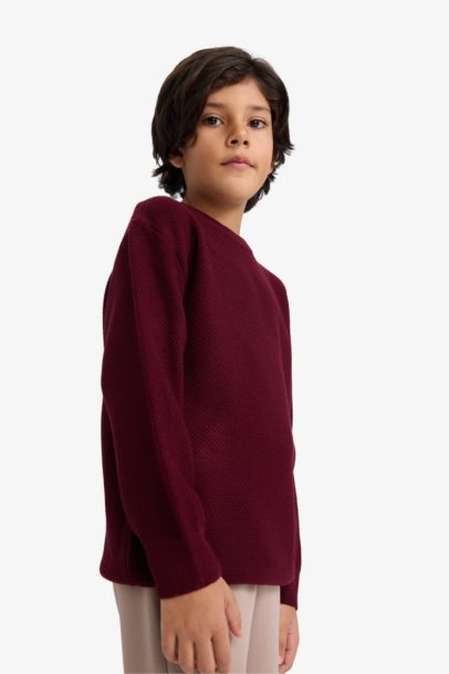 Boy Regular Fit Crew Neck Pullover