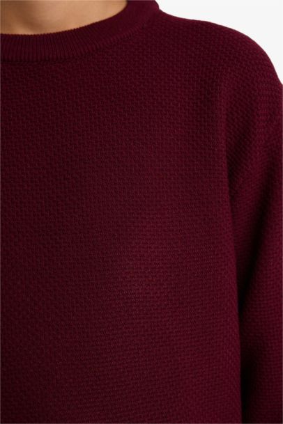 Boy Regular Fit Crew Neck Pullover