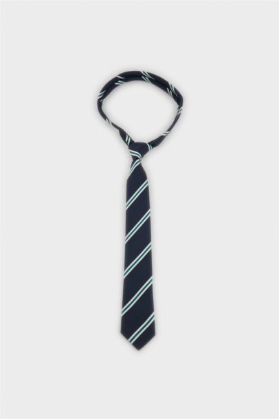 Woman Striped Tie