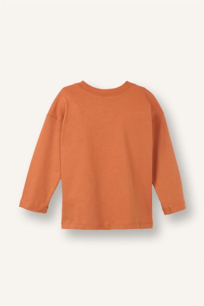 2'li Dinozor Baskılı Tişört Erkek Bebek