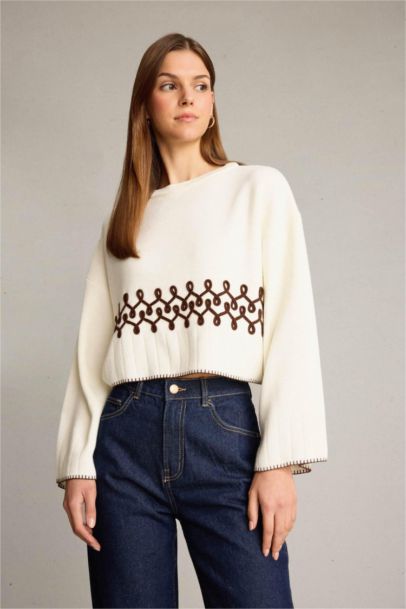 Crew Neck Embroidered Knit Crop Pullover