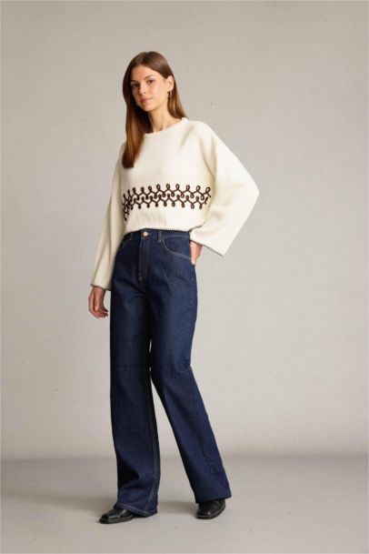 Crew Neck Embroidered Knit Crop Pullover