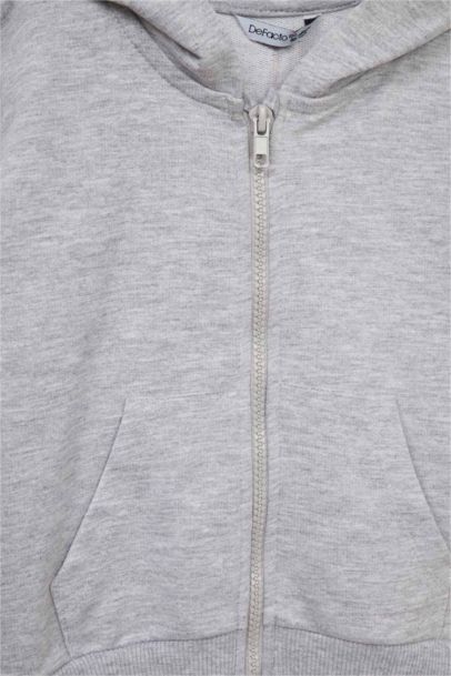 Baby Boy Regular Fit Hooded 2 Piece Sweatshirts