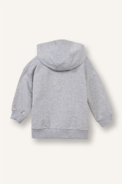 Baby Boy Regular Fit Hooded 2 Piece Sweatshirts