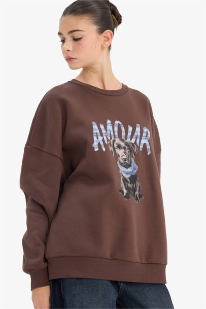 Oversize Fit Printed Long Sleeve Sweatshirt