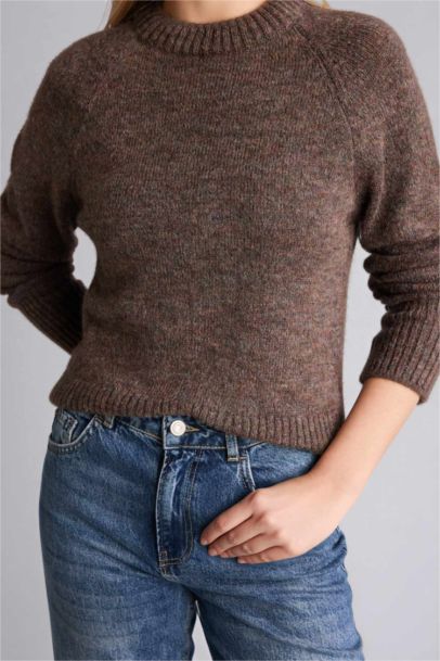 Regular Fit Crew Neck Pullover