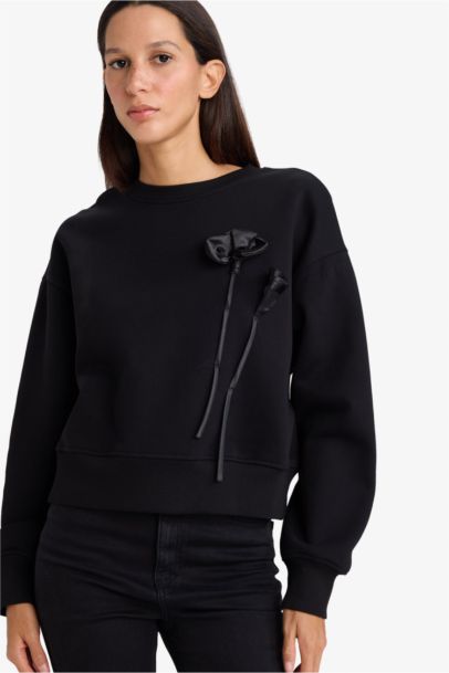 Boxy Fit Crew Neck Applique Thick Fabric Sweatshirt