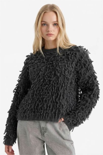 Regular Fit Crew Neck Knitwear Pullover