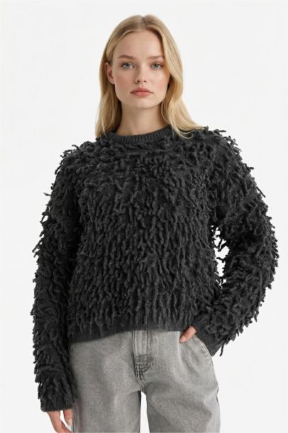 Regular Fit Crew Neck Knitwear Pullover