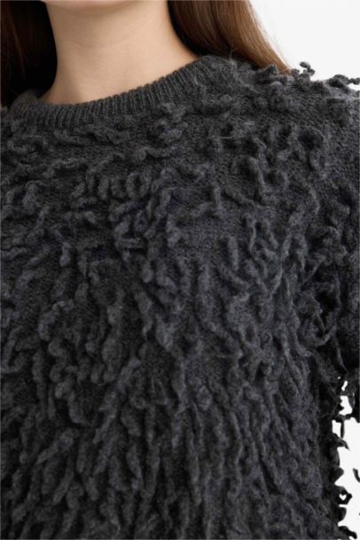 Regular Fit Crew Neck Knitwear Pullover