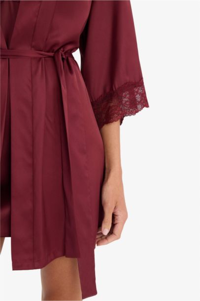 Regular Fit Wrap Neck Satin Robe