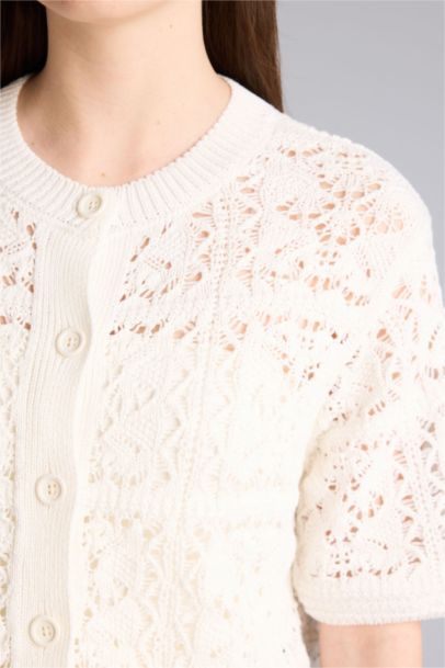 Regular Fit Crew Neck Knitwear Cardigan