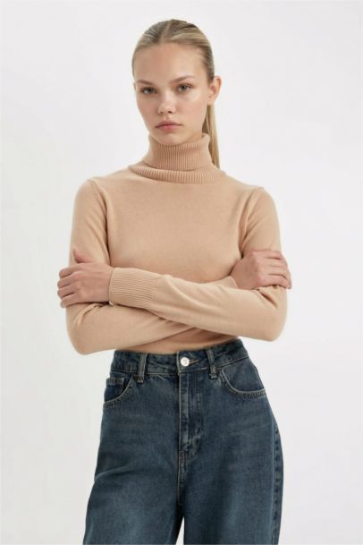 Regular Fit Turtleneck Basic Pullover