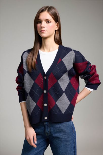 Regular Fit V-Neck Cardigan