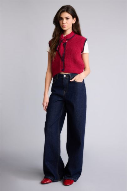 Regular Fit Shawl Collar Knitwear Vest