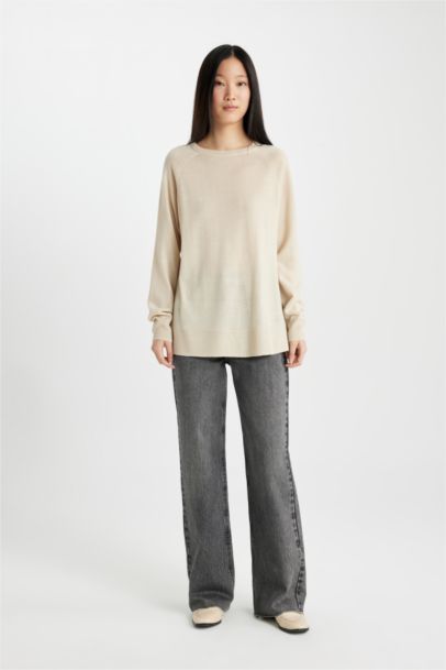 Regular Fit Crew Neck Pullover