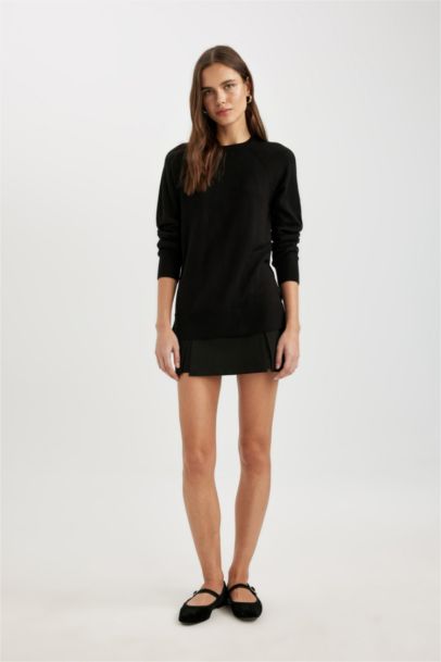 Regular Fit Crew Neck Pullover