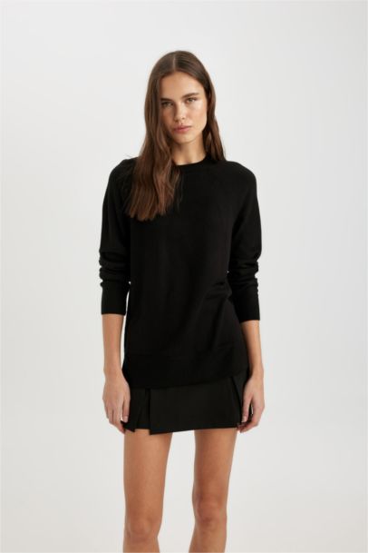 Regular Fit Crew Neck Pullover