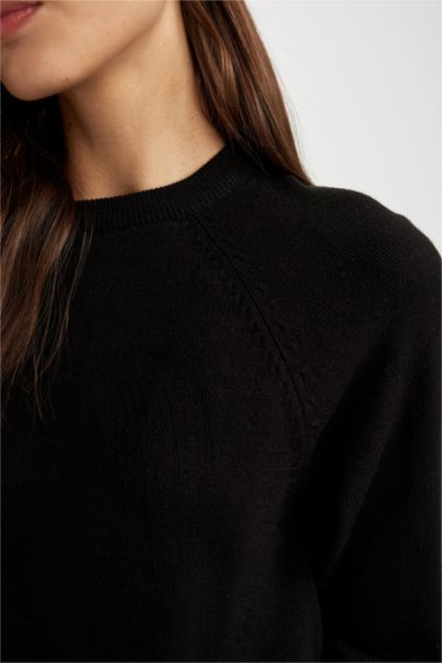 Regular Fit Crew Neck Pullover