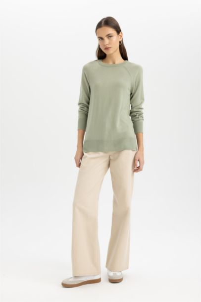 Regular Fit Crew Neck Pullover