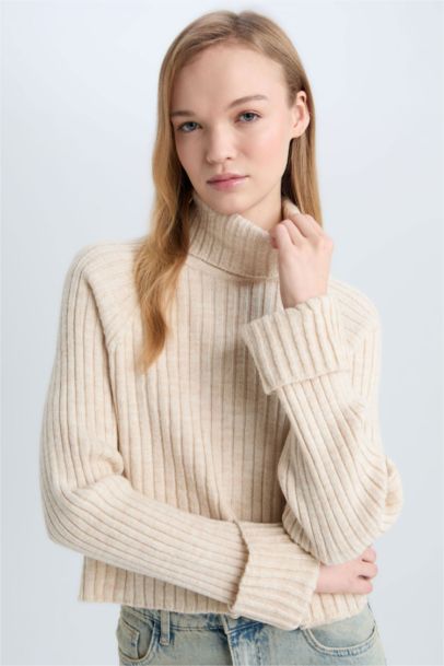 Pull tricot Oversize à col roulé Coupe ample