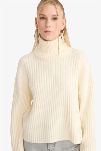 Oversize Fit Turtleneck Pullover