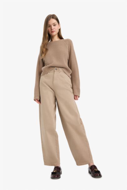 Regular Fit Crew Neck Basic Dress Pullover