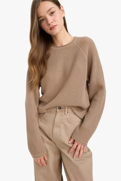 Regular Fit Crew Neck Basic Dress Pullover