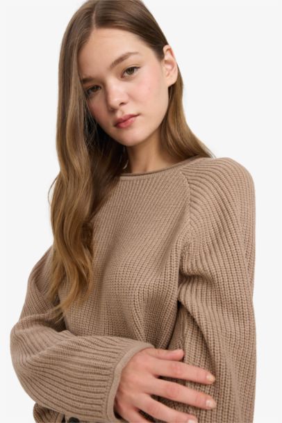 Regular Fit Crew Neck Basic Dress Pullover