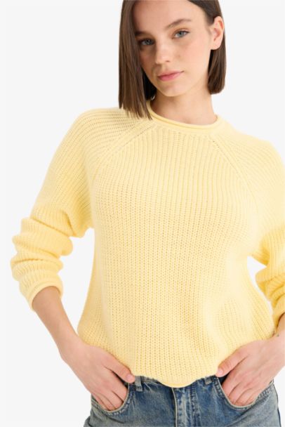 Regular Fit Crew Neck Basic Knit Pullover