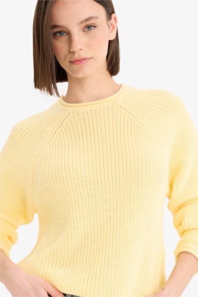 Regular Fit Crew Neck Basic Knit Pullover