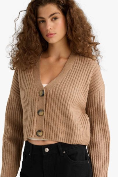 Regular Fit V-Neck Cardigan