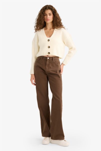 Regular Fit V-Neck Cardigan