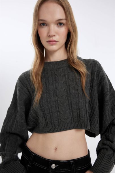 Regular Fit Crew Neck Hair Knitted Crop Pullover