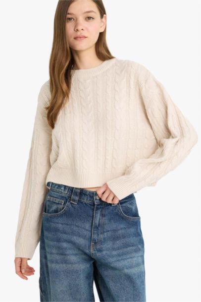 Regular Fit Crew Neck Knitted Pullover