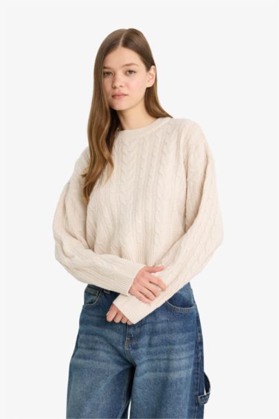 Regular Fit Crew Neck Knitted Pullover