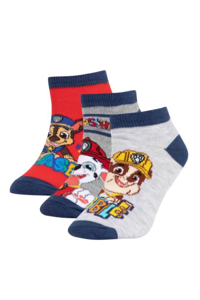Erkek Çocuk PAW Patrol Pamuklu 3'lü Patik Çorap