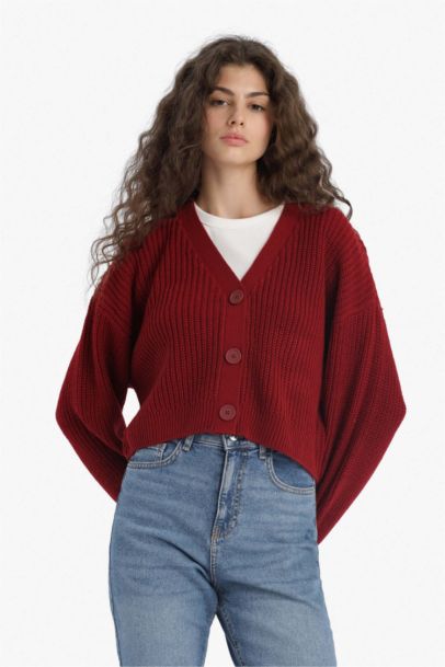 Regular Fit V-Neck Knit Cardigan