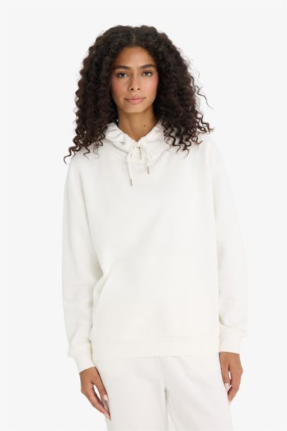 Regular Fit Basic Thick Fabric Hoodie