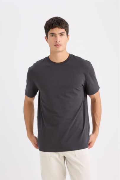 New Regular Fit Crew Neck Basic T-shirt