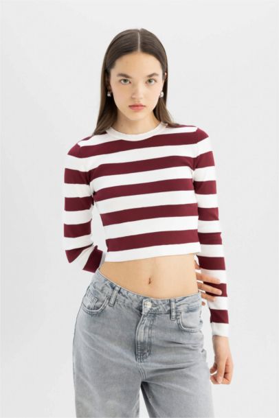 Slim Fit Dar Kesim Çizgili Bisiklet Yaka Triko Kazak