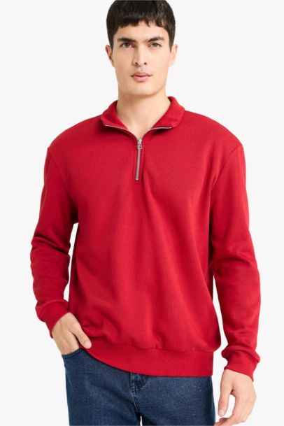 Regular Fit Half Zip Stand Collar Basic Sweatshirt